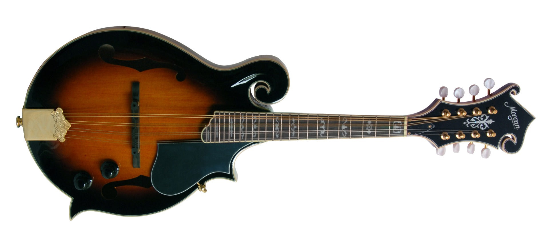 MORGAN MANDOLIN M 70 SE AV