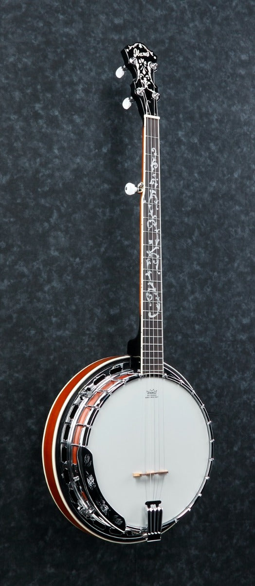 Ibanez B200 5-str. Banjo