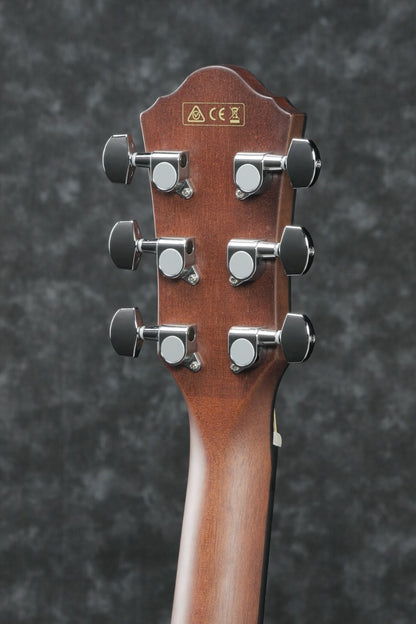 Ibanez AEG50-DHH Western gitar med mik