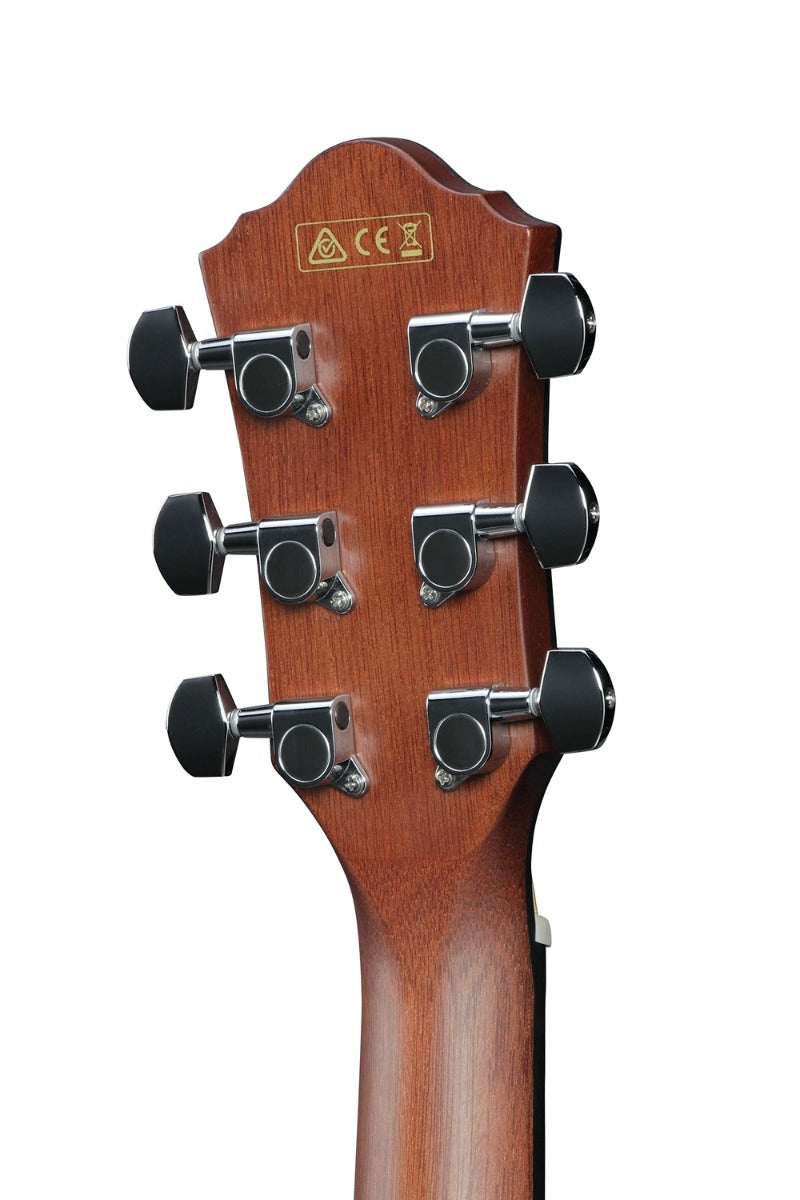 Ibanez AEWC11-DVS