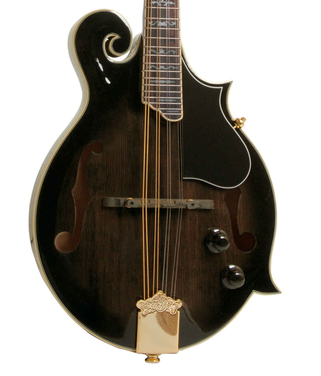 MORGAN MANDOLIN M 70 E TBK W/CASE