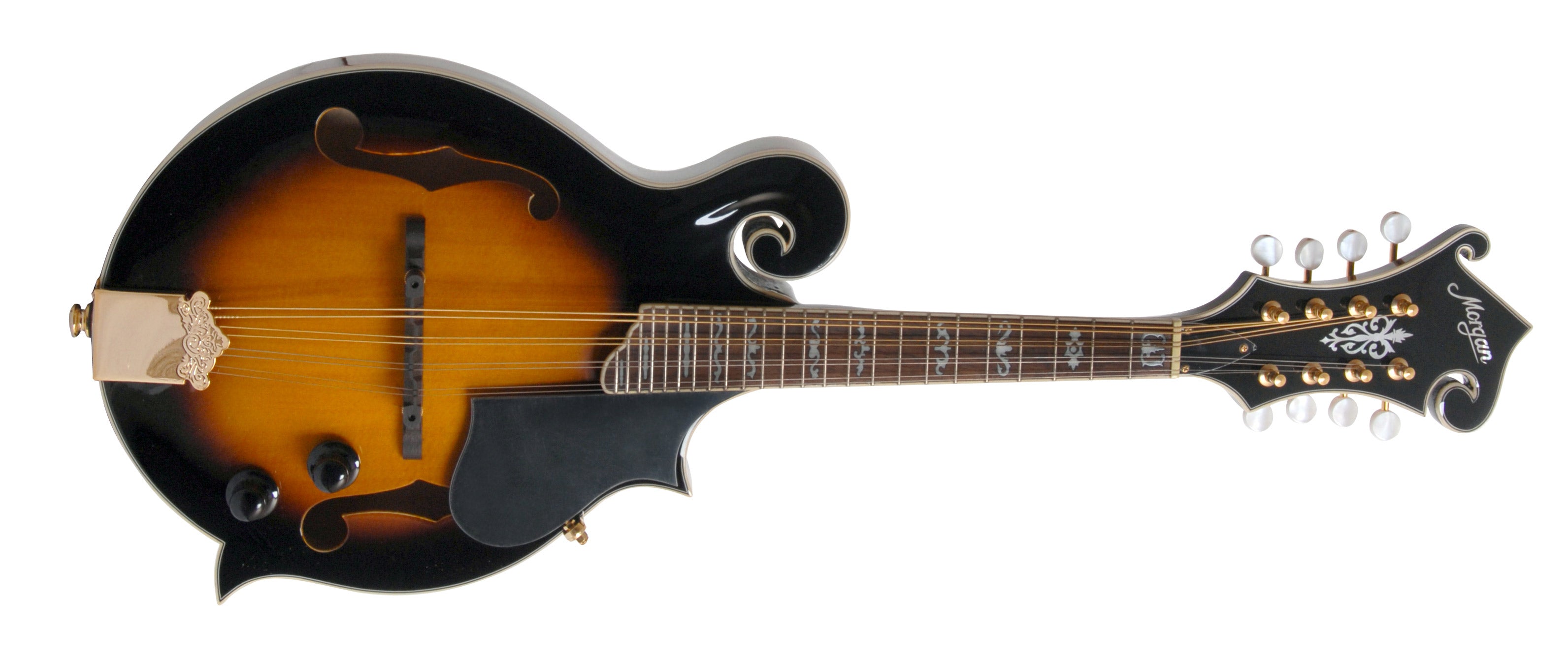 MORGAN MANDOLIN M 70 E VS W/CASE