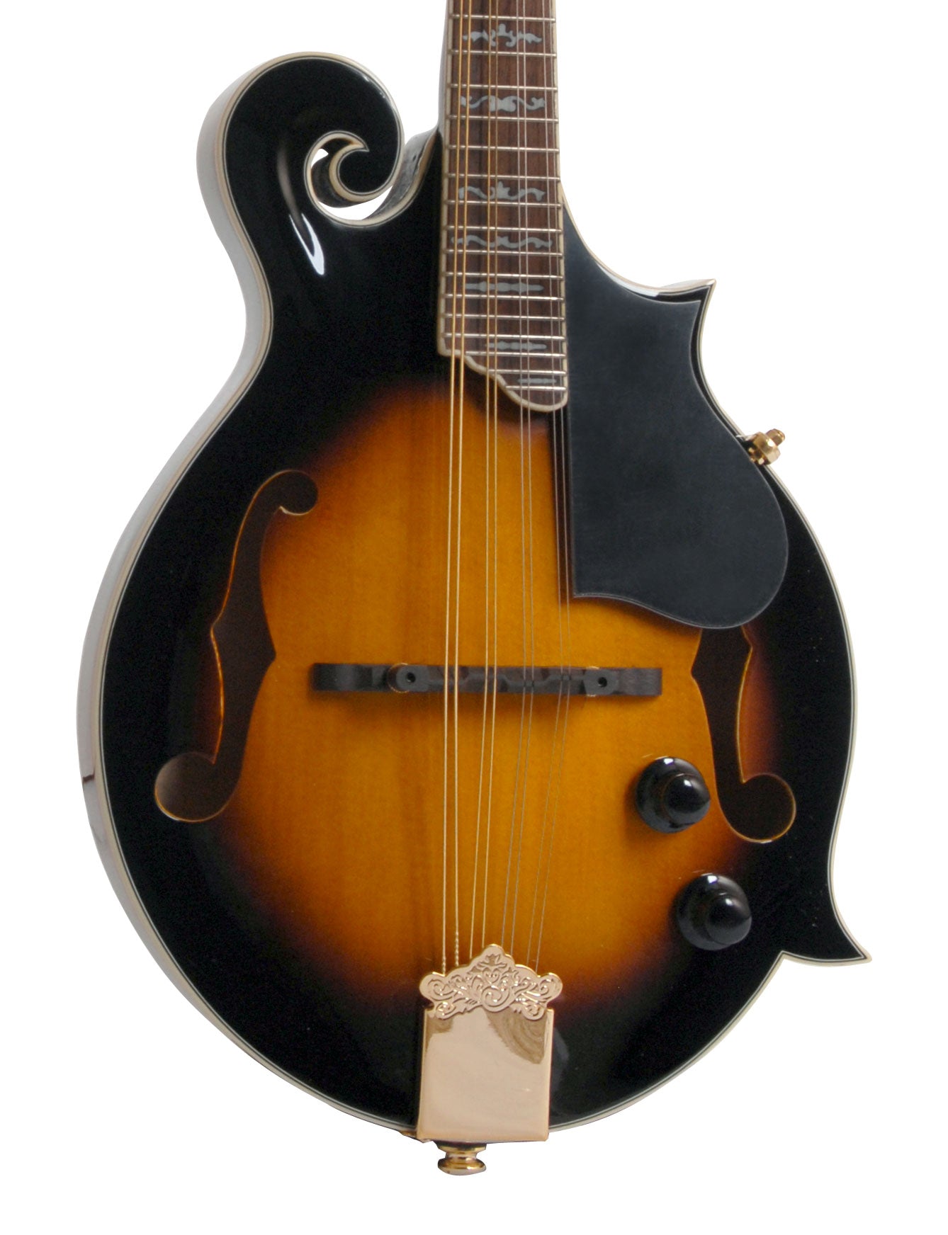 MORGAN MANDOLIN M 70 E VS W/CASE