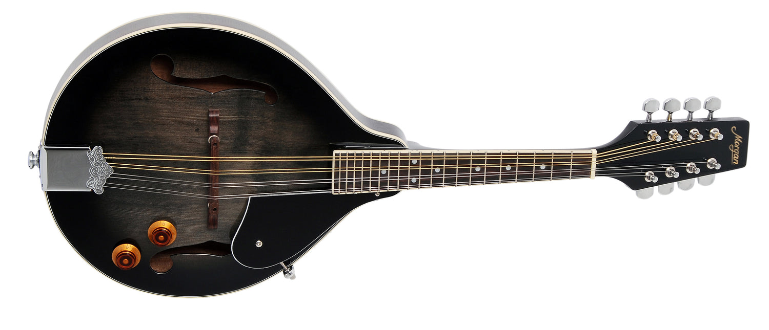 MORGAN MANDOLIN M 20 E TBK