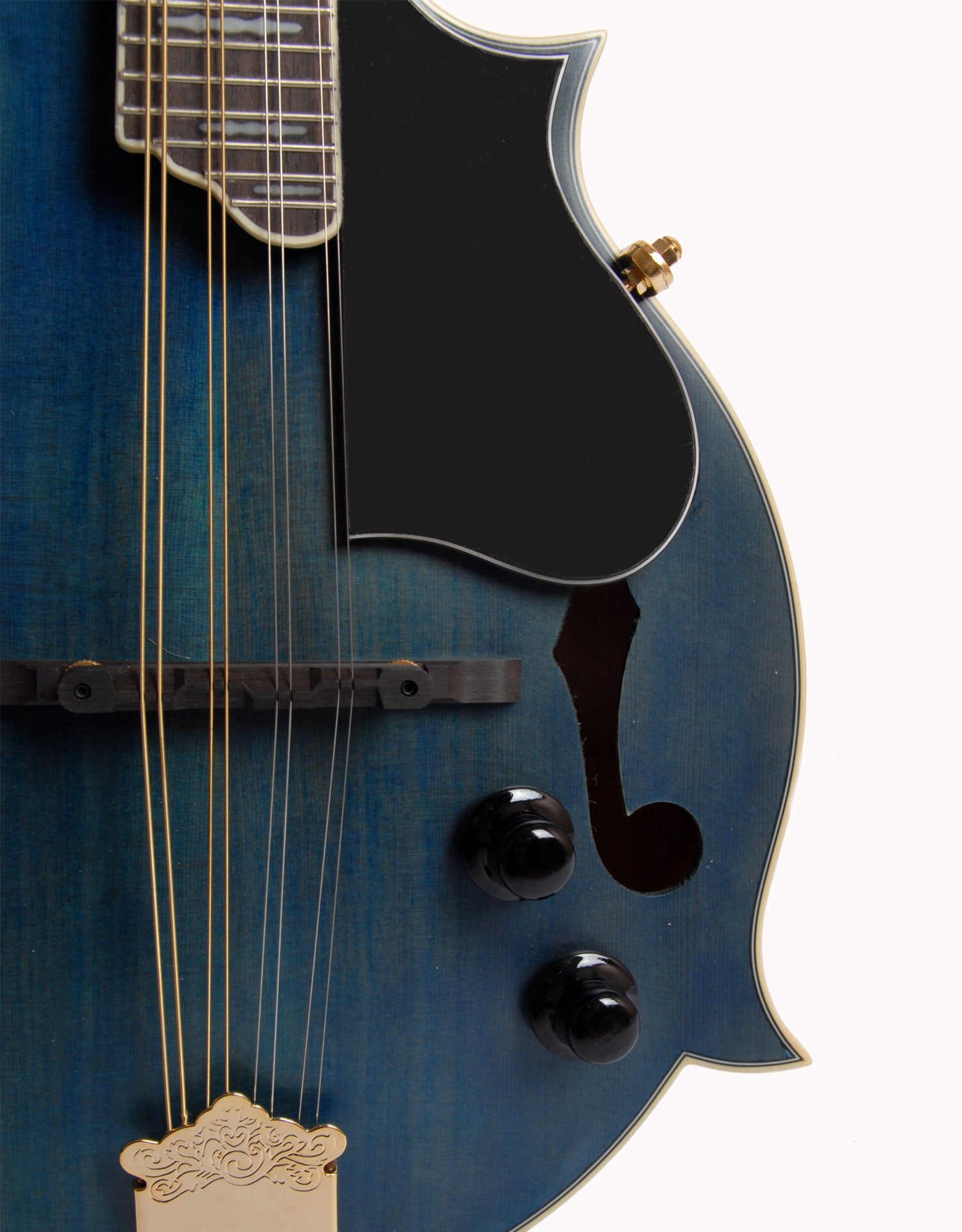 MORGAN MANDOLIN M 70 E BLUE W/CASE