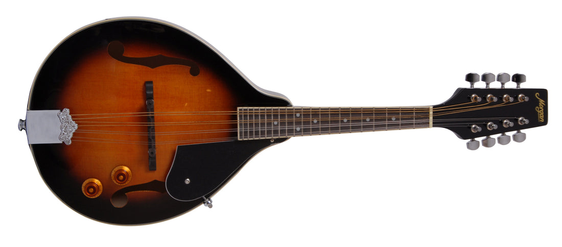 MORGAN MANDOLIN M 20 E AV