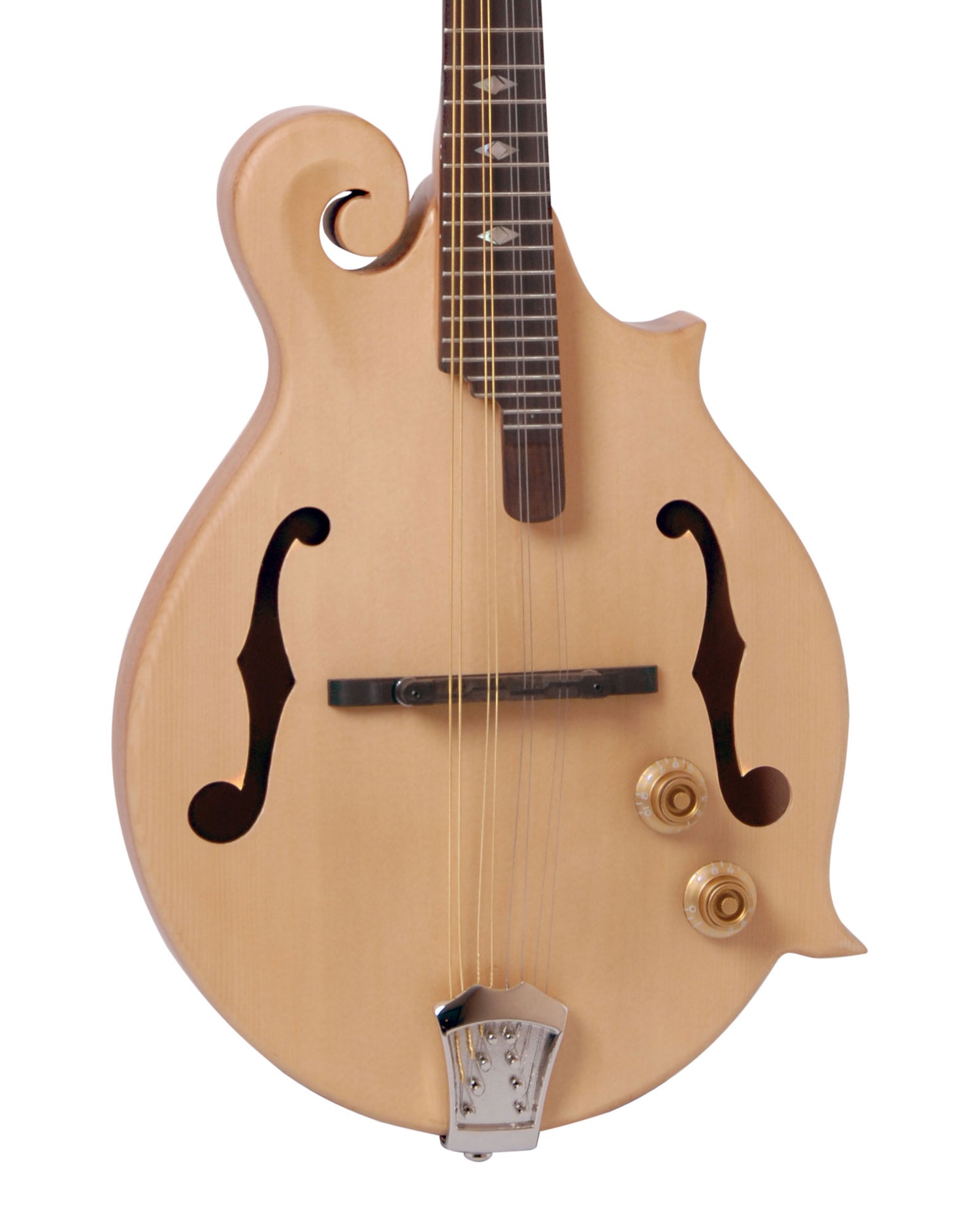 MORGAN MANDOLIN M 83 E W/CASE