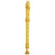 Trophy Tudor Candy Apple Soprano Recorder – Gold